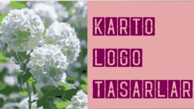 eğitim kurumu, şirket ve şahsi girişimlere logo tasarlıyorum