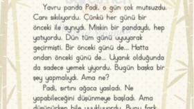 Hikâye Örneği