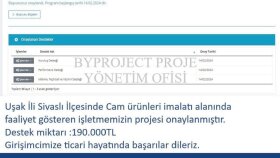 KOSGEB PROJE DANIŞMANLIĞI