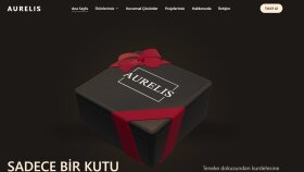 Web Sitesi Tasarımlarım