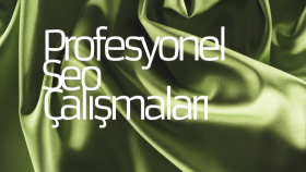 Profesyonel SEO ÇALIŞMALARI