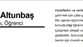 girmek istediğiniz iş için en uygun CV'nizi hazırlarım