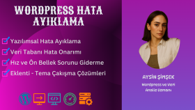 wordpress sistemlerinde yazılımsal hata çözümlüyorum