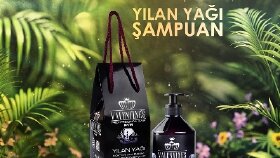Markanıza yeni bir soluk getirin. 