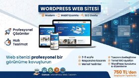 ihtiyacınıza uygun modern WordPress web sitesi oluşturuyorum