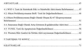 tezinizi veya makalenizi düzenlemenize katkıda bulunabilirim