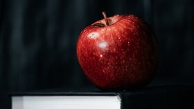 ürün fotoğrafçılığı konusunda size yardımcı olabilirim