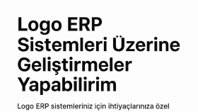 logo erp sistemleri üzerine geliştirmeler yapabilirim