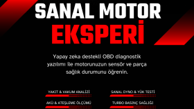 sanal motor ekspertiz hizmeti sunarım