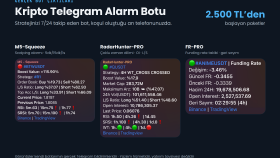 kripto Telegram alarm botu yaparım