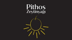 Pithos Zeytinyağı Logo Tasarımı