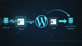 sitenize SEO uyumlu özgün içerik girişi yaparım