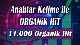 Organik 11.000 Hit