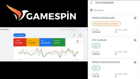 gamespin.com.tr - Yüksek Performanslı Google Ads Yönetimi