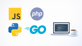 Python, Go, Javascript, PHP desteği verebilirim