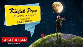 Sesli Kitap Örnekleri