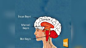 Sunum görselleri
