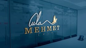 Profesyonel Logo Tasarımı 