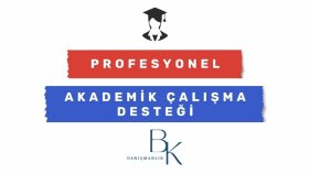 tez ve makalelerinizde düzenleme yapabilirim