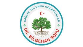 Örnek Logo