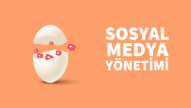 Sosyal Medya 