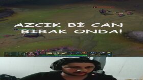 alt yazılı video örneği