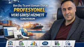 Excel ile profesyonel veri girişi, raporlama yapıyorum