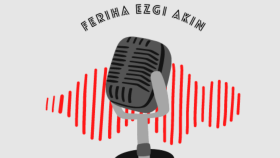 profesyonel seslendirme hizmeti veriyorum