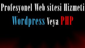 mükemmel web sitenizi yapabilirim