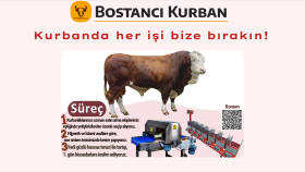 Kurban Organizasyon Sitesi