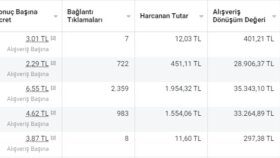 Reklam Yönetimi Yaptığım İşletmelerin Kazançları