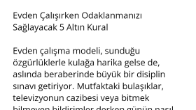 SEO Uyumlu Blog Örneği: Evden Çalışma Rehberi