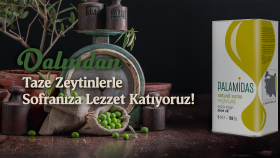 Banner Tasarımları