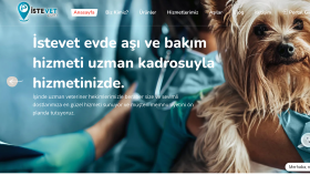 sizin için kurumsal web sitesi tasarlayabilirim