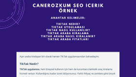 SEO Uyumlu İçerik Çalışması - 2
