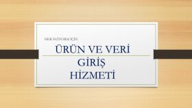veri girişini titizlikle yaparım