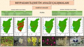  ArcGIS ile yapılmış olan harita ve analizler