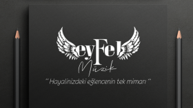 Profesyonel Logo Tasarımı