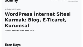 Wordpress Site Tasarımı