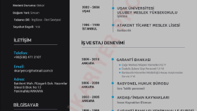 Etkileyici Tasarım Cv