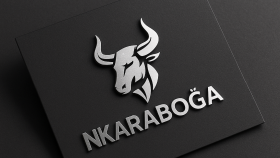logo tasarımı yaparım