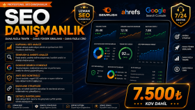 kurumsal olarak seo danışmanlık hizmeti sağlıyorum