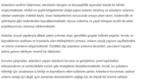 Kelime Gücü: Akademik Yazımda Başarıya Giden Yol