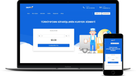 profesyonel şekilde anahtar teslim web sitesi yaparım