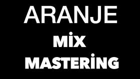 aranje, mix, mastering isteğiniz doğrultusunda yapıyorum