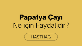 Hesaplarınızın daha hızlı aksiyon almasını sağlarım
