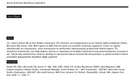 ATS Uyumlu Özgeçmiş (CV)