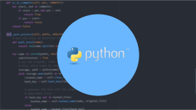 Python Uzmanı