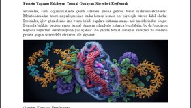 uzman olduğum konuda her alanda metin yazarlığı yapabilirim