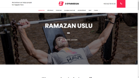 Web Site Örnekleri